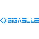 GigaBlue