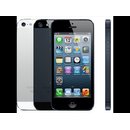 IPhone 5 Reparatur